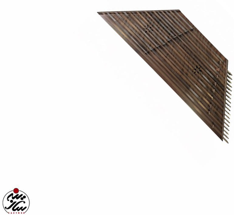 سنتور میثم علیپور (کلکسیونی فر 30 ساله)