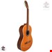 گیتار پارسی m5