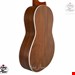 گیتار پارسی m6
