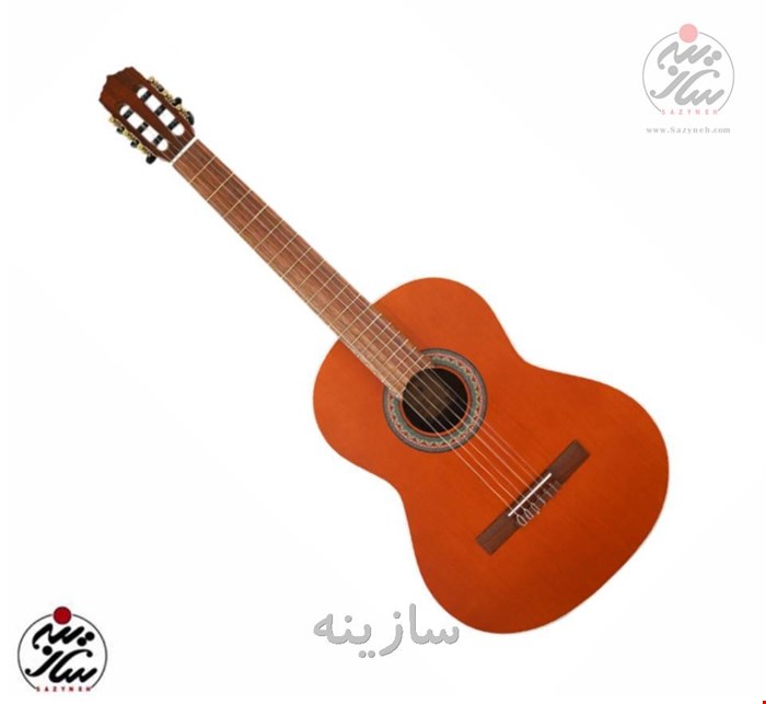 گیتار پارسی m6