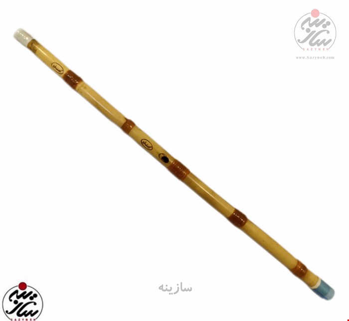 نی ثابت فرد