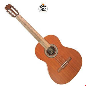 گیتار پارسی مدل p40