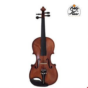 ویولن آماتی 160