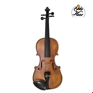 ویولن آماتی 200 مات