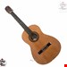 گیتار آواتار