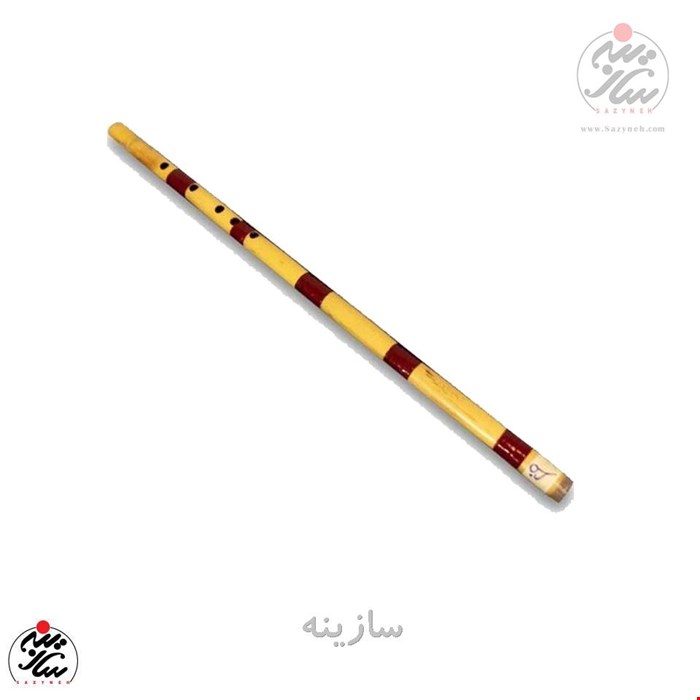 نی محمود رسولی