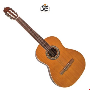 گیتار پارسی مدل M5