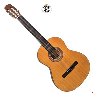 گیتار پارسی مدل M2