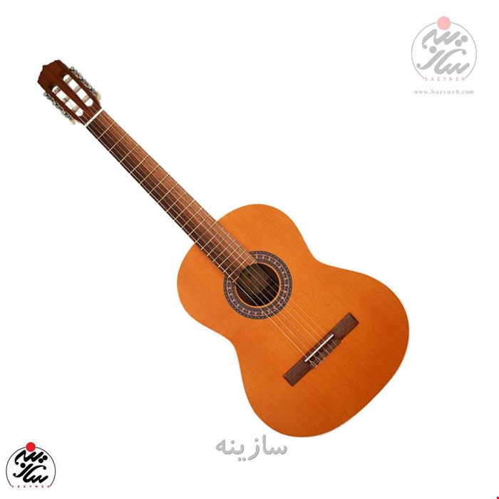 گیتار پارسی m5