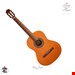 گیتار پارسی m5